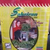 سبزی خرد کن ۲ کیلویی  سبز ایران  نو  اصلی