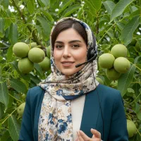 جشنواره نهال پسته احمد آقایی، قیمت طلایی + ضمانت