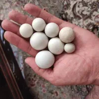سنگ لونسدالیت(الماس آسیاب)