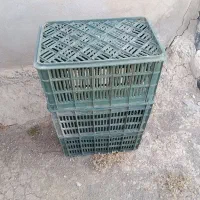 سبد