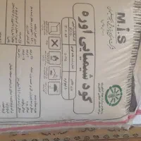 کودکشاورزی