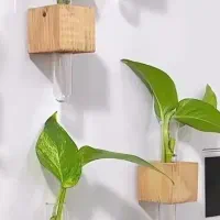 گلجا مگنتی ،چسبی ، سنگی