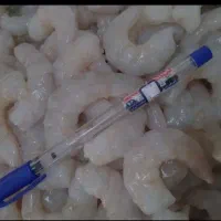 میگو تازه ارسال از بندرعباس