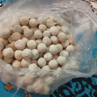 کشک و روغن محلی