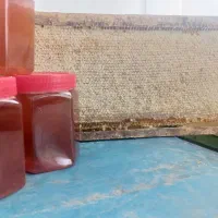 عسل صددرصد اورگانیک
