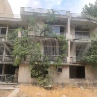کلنگی