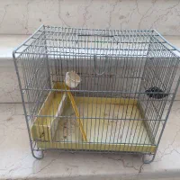 قفس پرنده