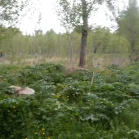 زمین در منطقه گردشگری بولاخلار نیر
