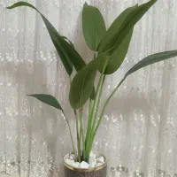 گل مصنوعی پرنده بهشتی
