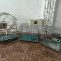قفس پرنده