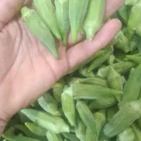 بامیه درجه یک  سبز حراج