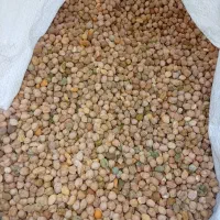 نخود خوشمزه