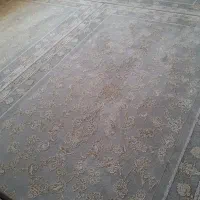 فرش ۲×۳|فرش|مهاباد (آذربایجان غربی), |دیوار