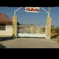 باغ-گلستانه-دالین