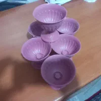 گلدون مخصوص کاکتوس