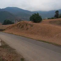 زمین-باغی