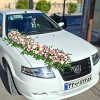 گلفروشی آنلاین گلگشت بیابانی