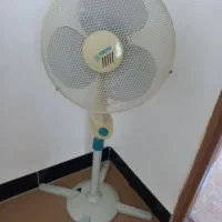 پنکه