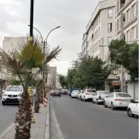 پیش-فروش-به-تعداد-محدود