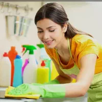 شرکت خدماتی فروهر