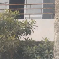 جوشکار و بنایی