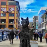 تور وان گروهی 8 فروردین هتل 4 ستاره