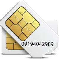 09194042989