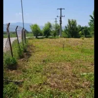 فروش هزارمتر شالیزار جای خوب ۱۰۰متری اسفالت