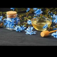 کار برای زنان بچه دار و خانه دارو زنان کارمند