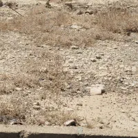 زمین ۴فرزندی پشت دانشگاه آزاد سند تک برگ گرفتم