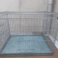 قفس