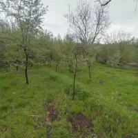 باغ به متراژ 6من محلی در روستای نوا