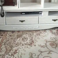 زیر تلویزیونی