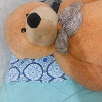 عروسک خرسی