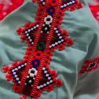 دوچگرم  لباس موسوم و بنوک دمنی