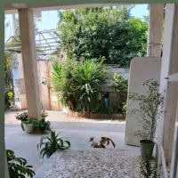 اجاره ویلا حیاط دار