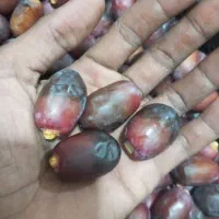 رطب خنیزی با عطر و طعم دلانگیز