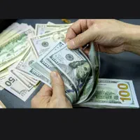 کسب در آمد دلاری درشرکت FMDK