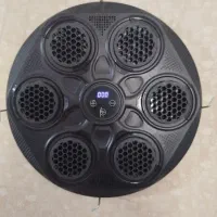 کیسه بوکس موزیکال دیواری