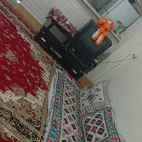 سوییت اجاره همرا با پارکینگ وکولر