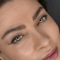 مدل برای میکروبلدینگ