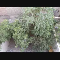 80 متری سعادت اباد شهرک پاسارگاد