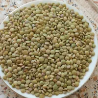عدس محلی تازه خوش پخت تمیزشده