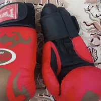 دستکش بوکس حرفه ای