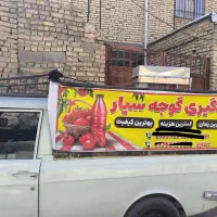 آبگیری گوجه و رب محلی