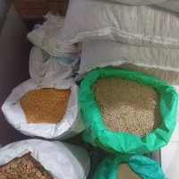 حبوبات  قیمت عمده با کالا برگ