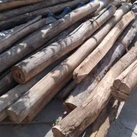 همه مدل چـوب ودرخـت‌شمارا بـه بالاترین قــ
