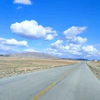 گچ کاری ولکه گیری