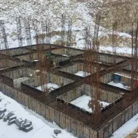 استخدام نیروی آرماتوربند