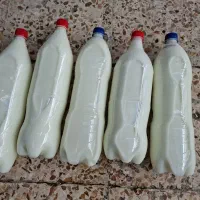 حشره کش قوی یکونیم لیتر